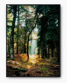 plakat-bez-ramy-a3-30x40-imp-las-17