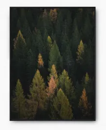 plakat-bez-ramy-a4-21x30-imp-las-02