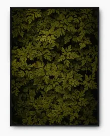 plakat-bez-ramy-a5-13x18-imp-liscie-07