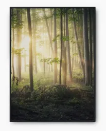 plakat-bez-ramy-a3-30x40-imp-las-03