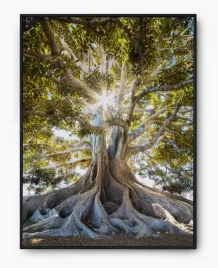plakat-bez-ramy-a5-13x18-imp-natura-10