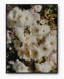 plakat-bez-ramy-a5-13x18-imp-kwiaty-02