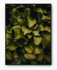 plakat-bez-ramy-a4-21x30-imp-liscie-08