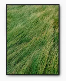 plakat-bez-ramy-a3-30x40-imp-trawa-04