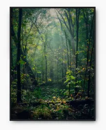 plakat-bez-ramy-a3-30x40-imp-las-18