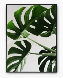 plakat-bez-ramy-a4-21x30-imp-liscie-04