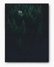 plakat-bez-ramy-a2-40x50-imp-las-07