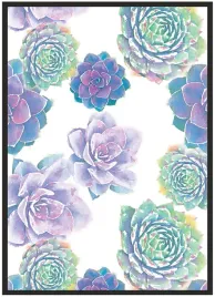 plakat-bez-ramy-a4-21x30-duzo-wzorow-rosliny-04