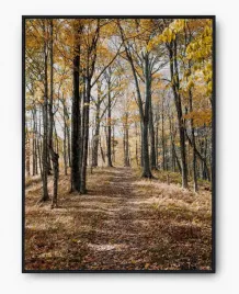 plakat-bez-ramy-a3-30x40-imp-las-08