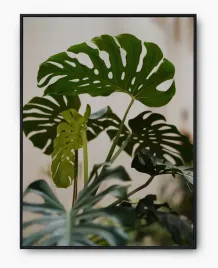 plakat-bez-ramy-a3-30x40-imp-monstery-09