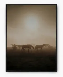 plakat-bez-ramy-a5-13x18-imp-konie-14