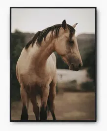 plakat-bez-ramy-a5-13x18-imp-konie-18