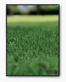 plakat-bez-ramy-a4-21x30-imp-trawa-19