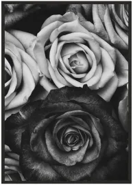plakat-bez-ramy-a4-21x30-duzo-wzorow-roza-06