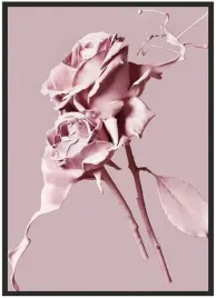 plakat-bez-ramy-a4-21x30-duzo-wzorow-roza-09
