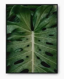 plakat-bez-ramy-a3-30x40-imp-monstery-19
