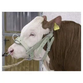 kantar-dla-buhajow-1630220202