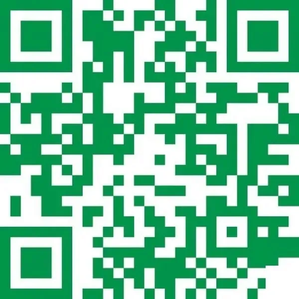 62062rs-lozysko-kulkowe