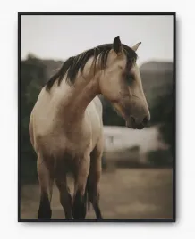 plakat-bez-ramy-a3-30x40-imp-konie-18