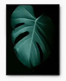 plakat-bez-ramy-a2-40x50-imp-monstery-13