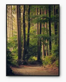 plakat-bez-ramy-a4-21x30-imp-natura-03