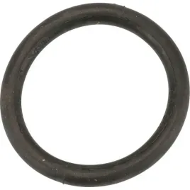 6652400-pierscien-uszczel-o-ring-6-170x19