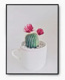 plakat-bez-ramy-a3-30x40-imp-kaktusy-05