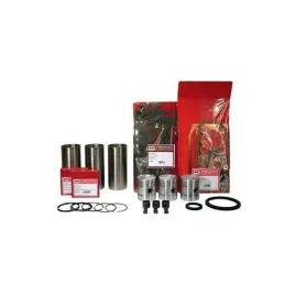 vpb9002-zestaw-naprawczy-silnika-massey-fergosun