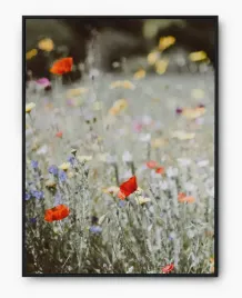 plakat-bez-ramy-a3-30x40-imp-kwiaty-19