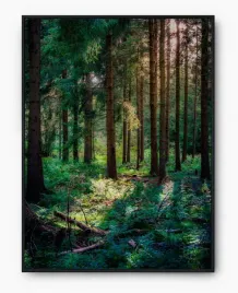 plakat-bez-ramy-a2-40x50-imp-las-09
