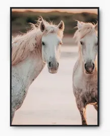 plakat-bez-ramy-a2-40x50-imp-konie-12