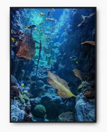 plakat-bez-ramy-a3-30x40-imp-morze-02