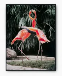 plakat-bez-ramy-a2-40x50-imp-zwierzeta-13