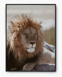plakat-bez-ramy-a3-30x40-imp-zwierzeta-04