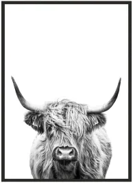 plakat-bez-ramy-a4-21x30-zwierzeta-03