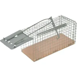 vv299618-zywolapka-na-myszy-i-szczury