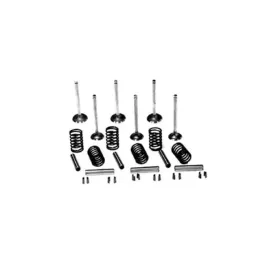 vpa6003-zawory-ssace-i-sprezyny-kpl-vapormatic-jd