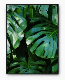 plakat-bez-ramy-a3-30x40-imp-monstery-11