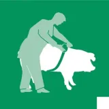 vv2191-miara-zoometryczna-stan-nowy