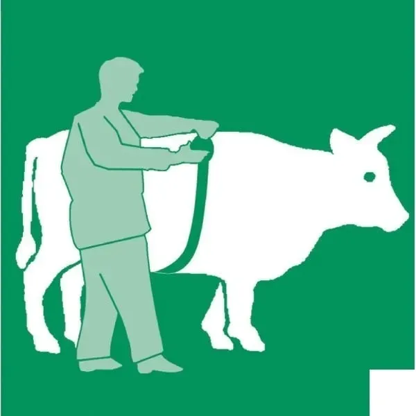 vv2191-miara-zoometryczna-stan-nowy