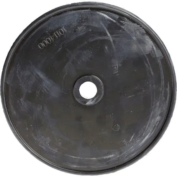 ud090302-membrana