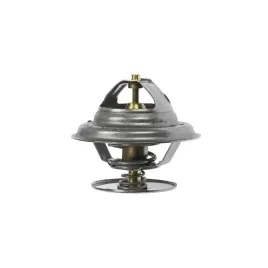 vpe3456-termostat-massey-fergosun