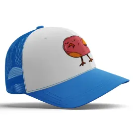 smieszna-niebieska-czapka-z-daszkiem-memy-na-prezent-imp-ptaki-08