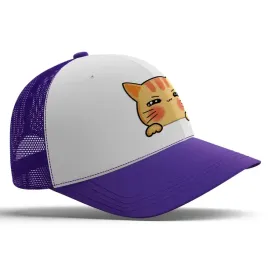 smieszna-fioletowa-czapka-z-daszkiem-mem-memy-na-prezent-imp-kot-05