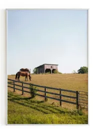 plakat-bez-ramy-a4-21x30-m2p-konie-17