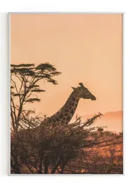 plakat-a4-21x30-w-ramie-m2p-sawanna-29