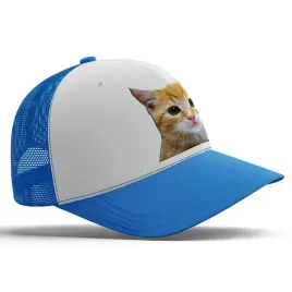 smieszna-niebieska-czapka-z-daszkiem-mem-memy-na-prezent-imp-kot-10