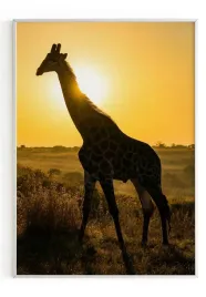 plakat-a4-21x30-w-ramie-m2p-sawanna-28