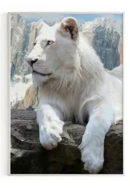 plakat-a4-21x30-w-ramie-m2p-lew-10