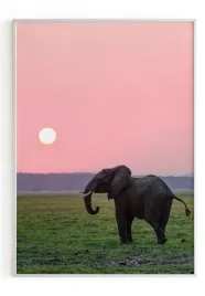 plakat-a4-21x30-w-ramie-m2p-sawanna-30